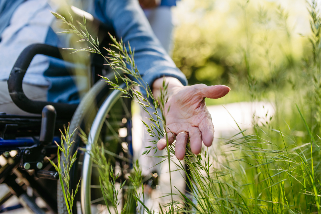 Person in wheelchair reaching toward tall grass, illustrating senior care and well-being.